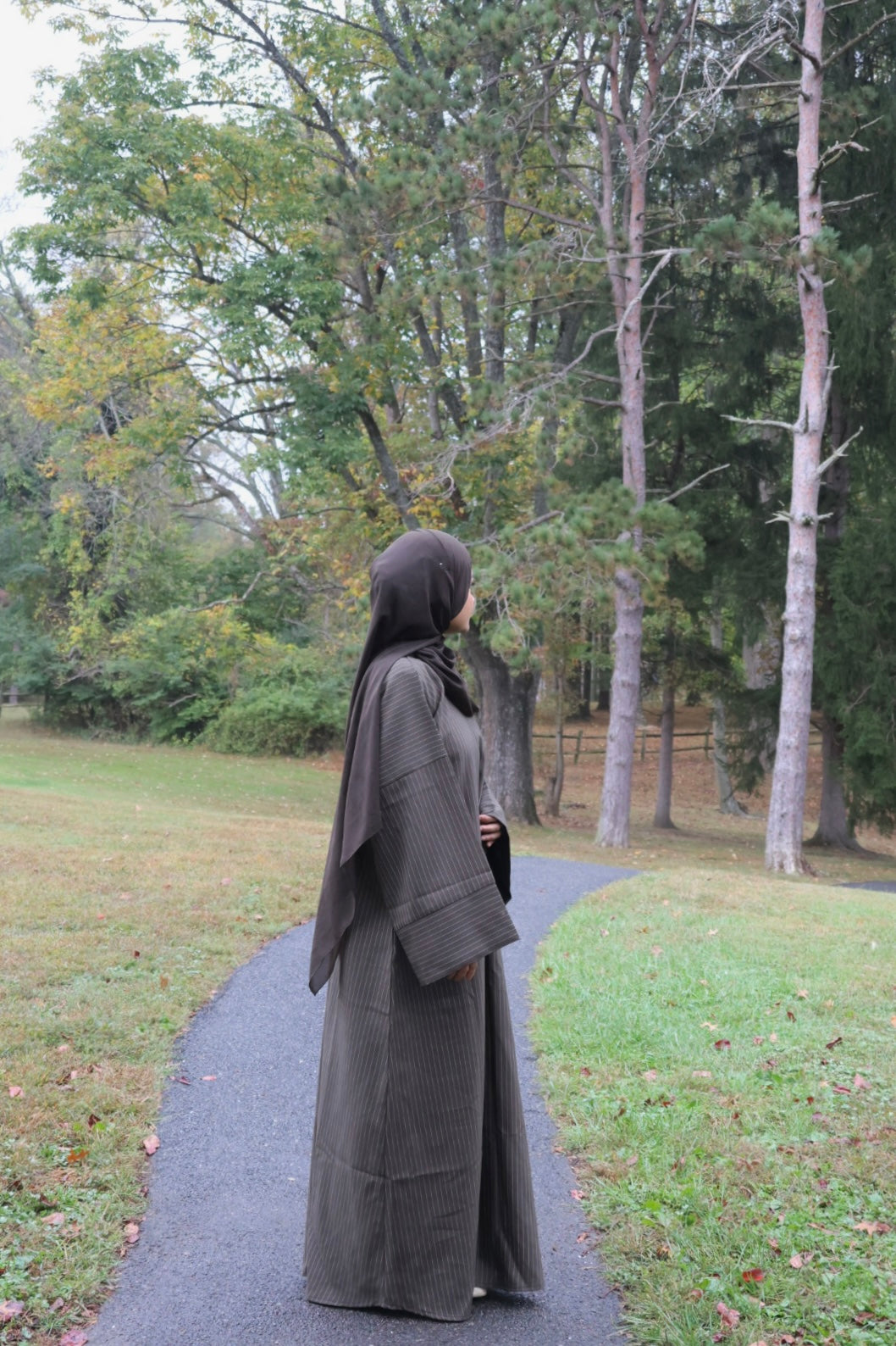 Stripe Abaya+Hijab-Dark Olive