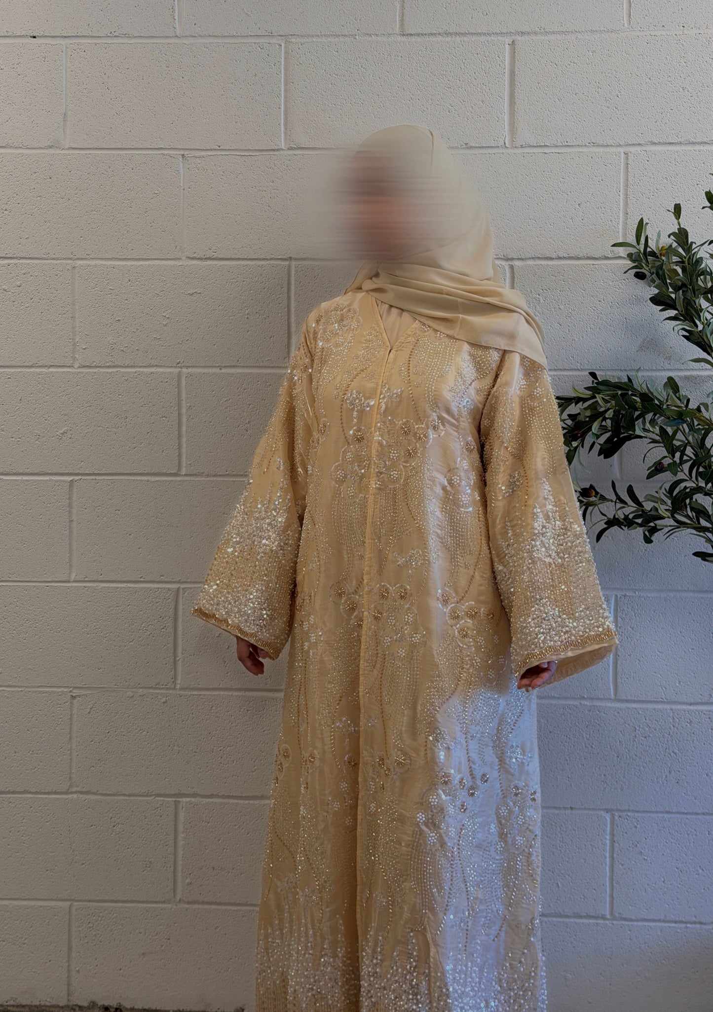 Liyana-Organza Embellished Abaya-Three-piece-Light Peach